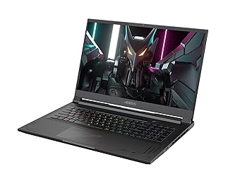 Amazon.com: GIGABYTE AORUS 17X: 17.3